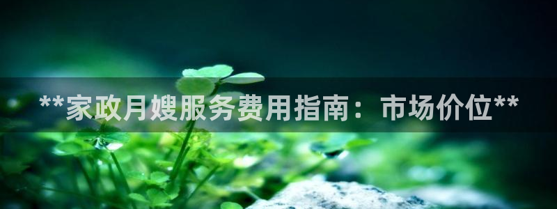 杏悦官网登录入口网址