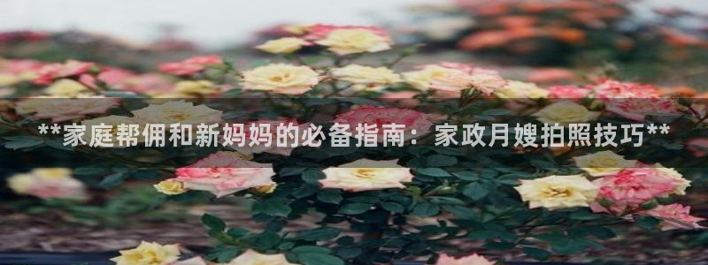 杏悦平台登陆