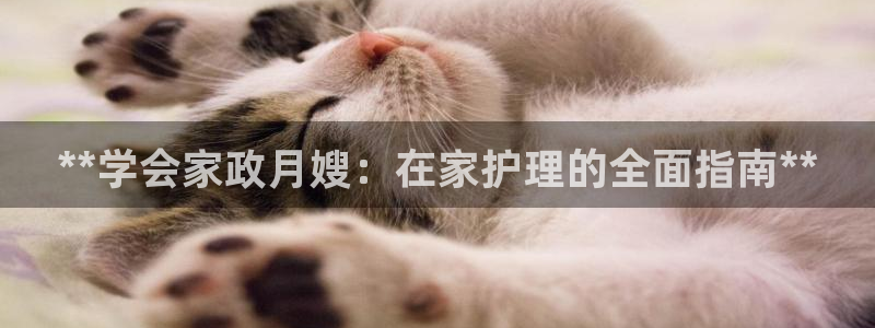杏悦登录网址是什么