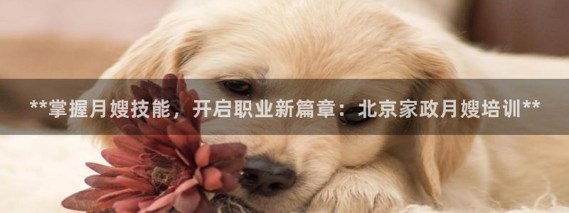 杏悦平台开户地址怎么改