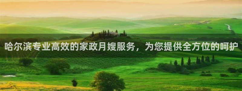 杏悦官网