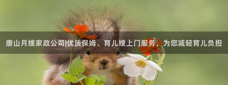 杏悦平台登录网址查询