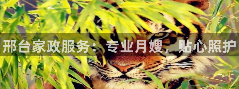 杏悦平台代理注册流程