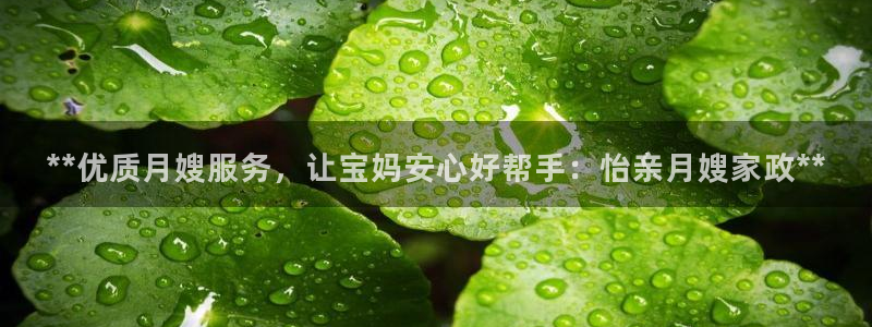 杏悦主管