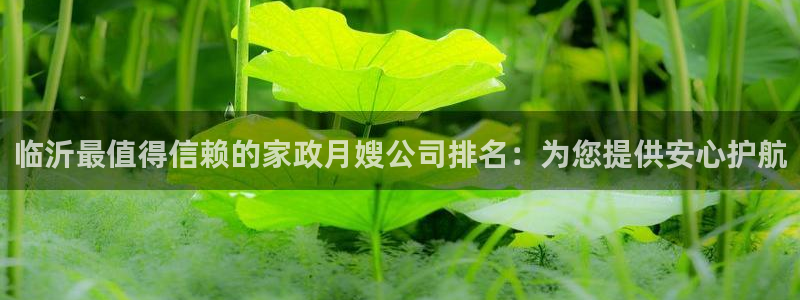 杏悦平台招商电话