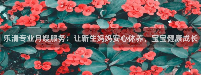 杏悦1招商地址