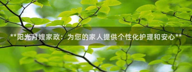 杏悦娱乐怎么玩