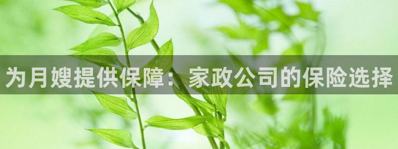 杏悦官网注册信息是什么样的