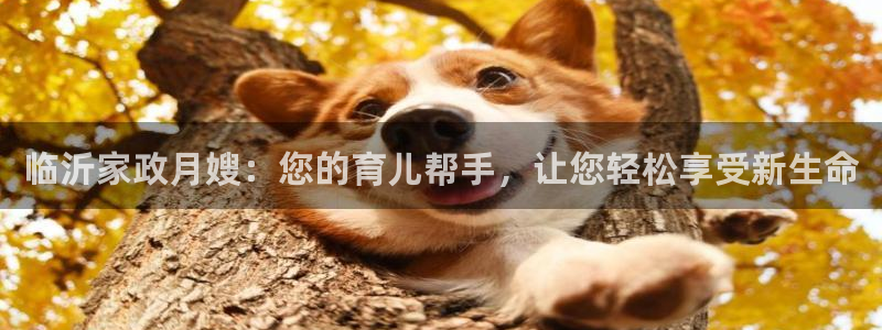 杏悦平台代理怎么样啊