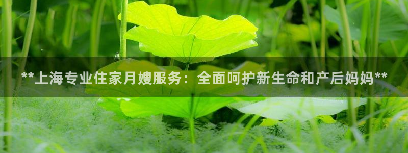 杏悦登陆地址