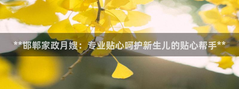 杏悦官网注册信息在哪里查看