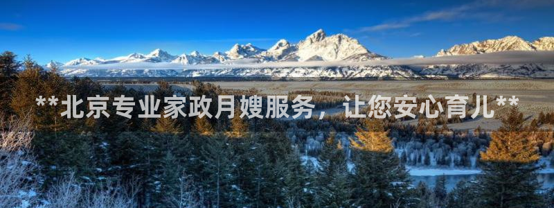 杏悦主管