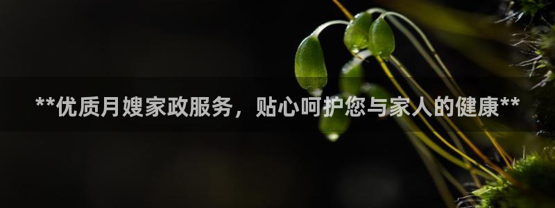 杏悦平台地址