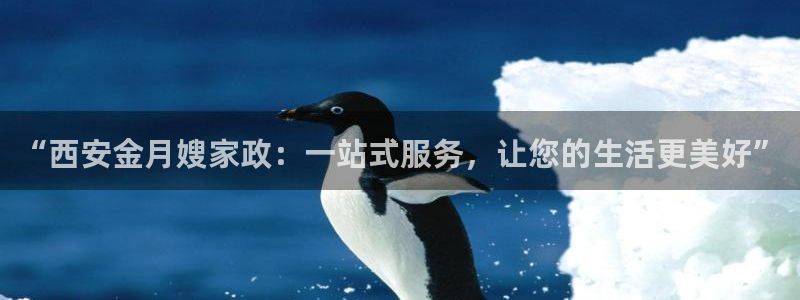 杏悦平台代理怎么样啊