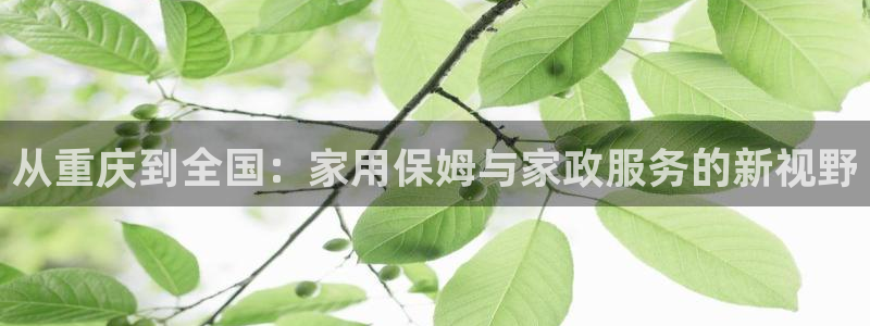 杏悦招商地址
