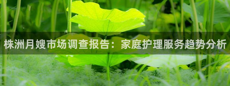 杏悦娱乐是什么