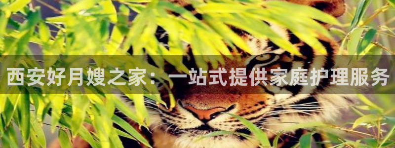 杏悦平台线路测速