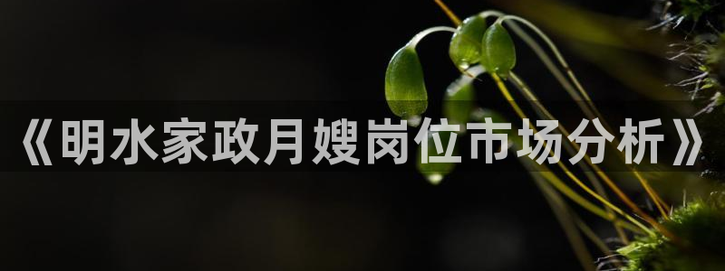 杏悦平台可靠吗可信吗是真的吗