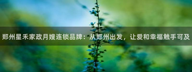 杏悦平台代理多少钱