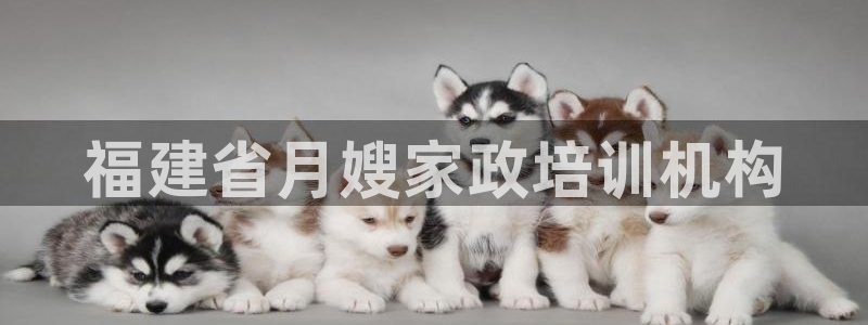 杏悦平台可靠吗可信吗