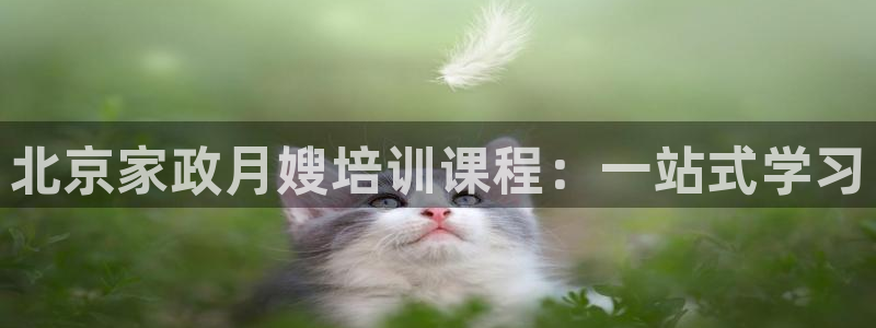 杏悦娱乐平台靠谱吗
