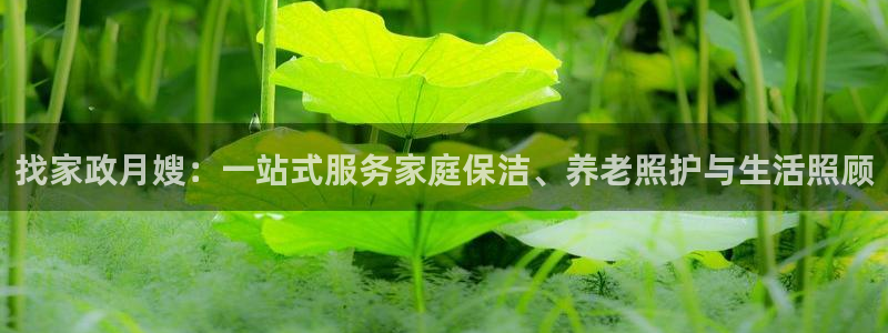 杏悦平台如何