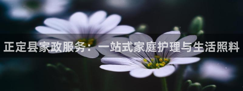 杏悦平台代理怎么赚钱快