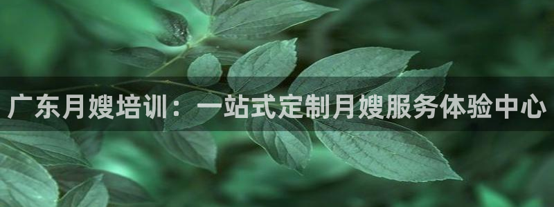 杏悦娱乐是什么
