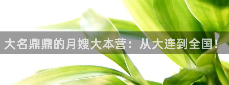 杏悦平台代理怎么做