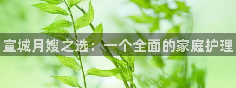 杏悦平台可靠吗可信吗安全吗