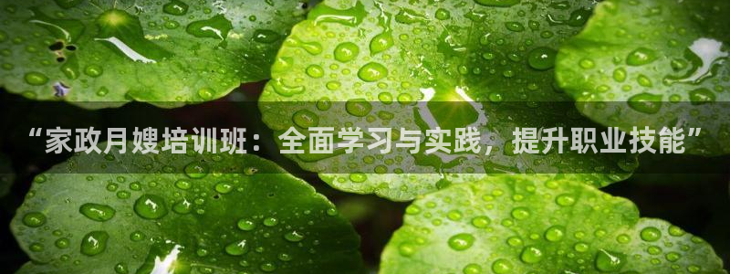 杏悦平台登陆
