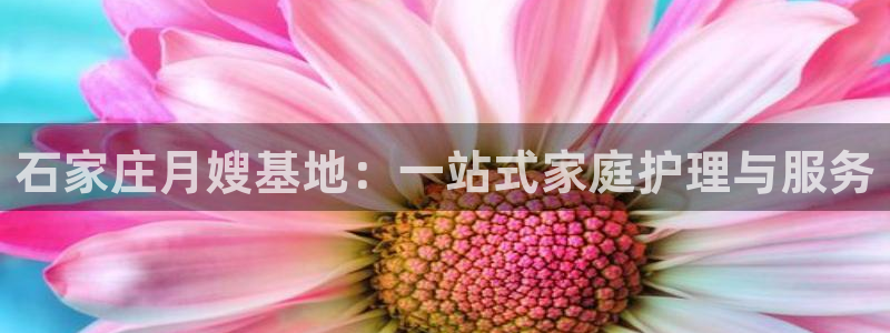 杏悦平台招商电话