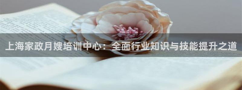 杏悦主管