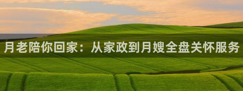 杏悦平台代理怎么赚钱