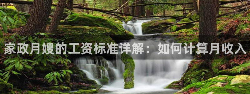 杏悦登录网址是什么