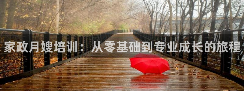 杏悦平台登陆