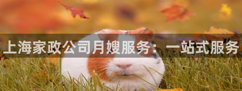 杏悦平台可靠吗是真的吗吗