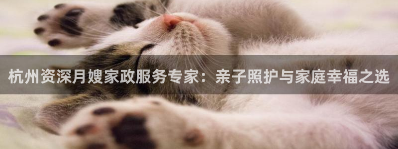 杏悦平台如何