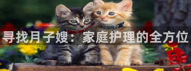 杏悦注册官网