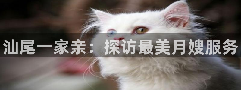 杏悦平台可靠吗可信吗知乎