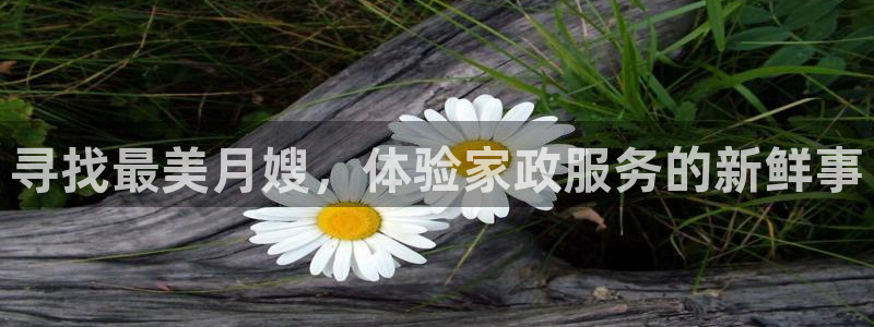 杏悦官网登录入口网址是什么