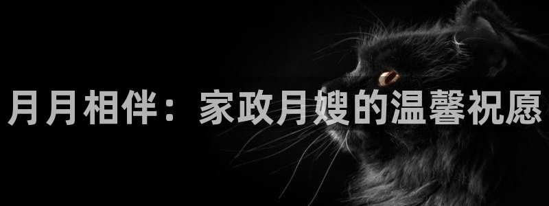 杏悦官网注册信息在哪里看