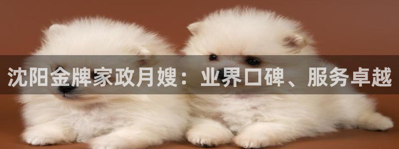 杏悦娱乐是什么