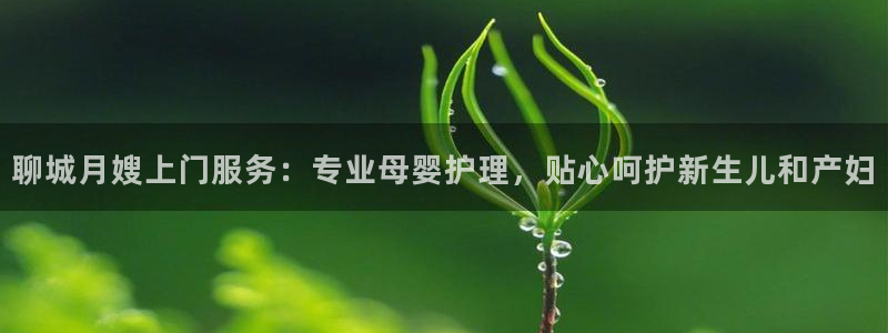 杏悦平台代理怎么赚钱快