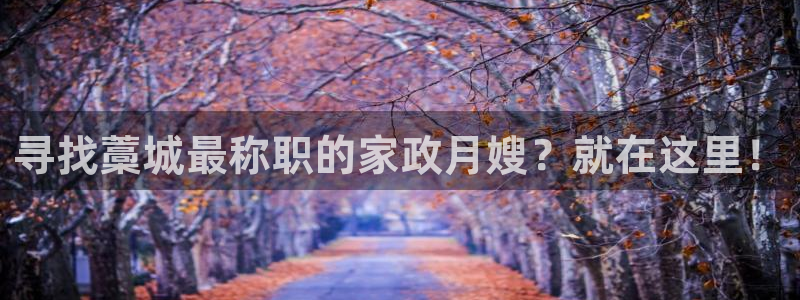 杏悦官网注册信息查询