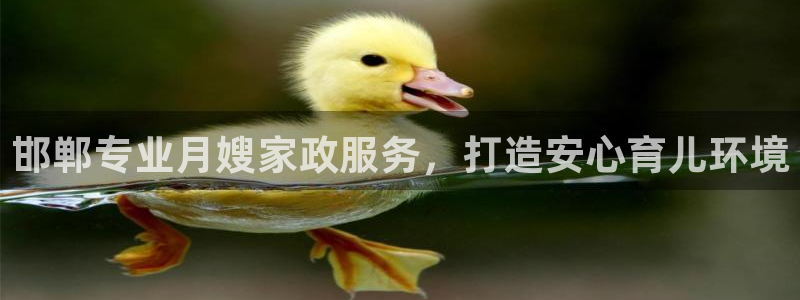 杏悦平台线路测速