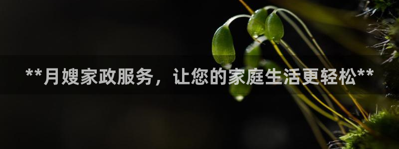 杏悦平台招商怎么样