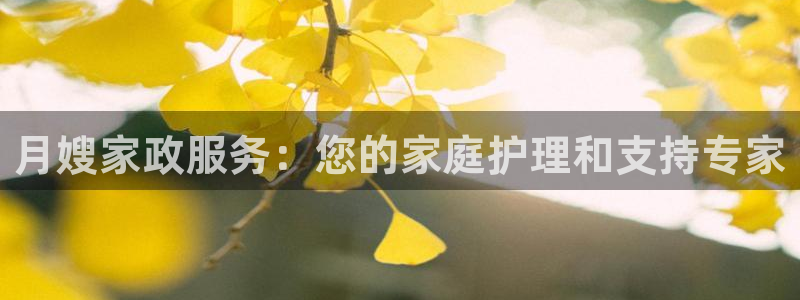 杏悦平台登录地址在哪里