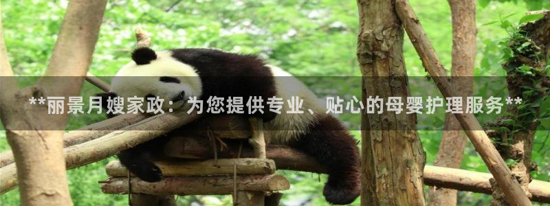 杏悦官网注册信息在哪里查看