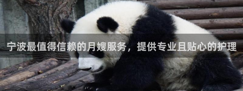 杏悦平台官网注册